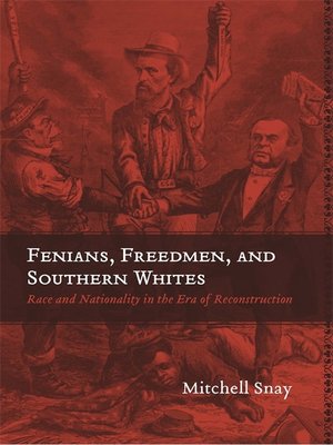 cover image of Fenians, Freedmen, and Southern Whites